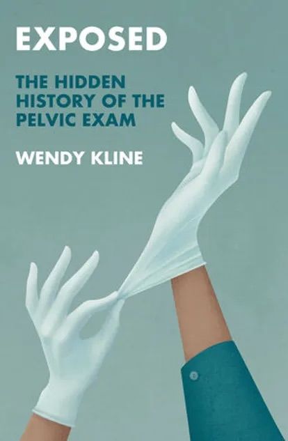 Image of Wendy Kline's book cover