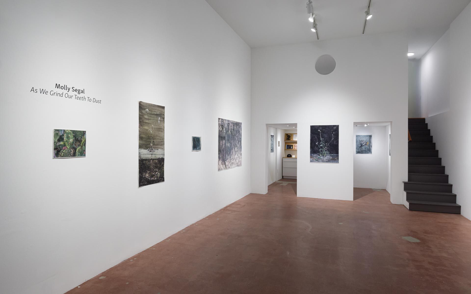 Installation view of Molly Segal's exhibition of water color paintings.