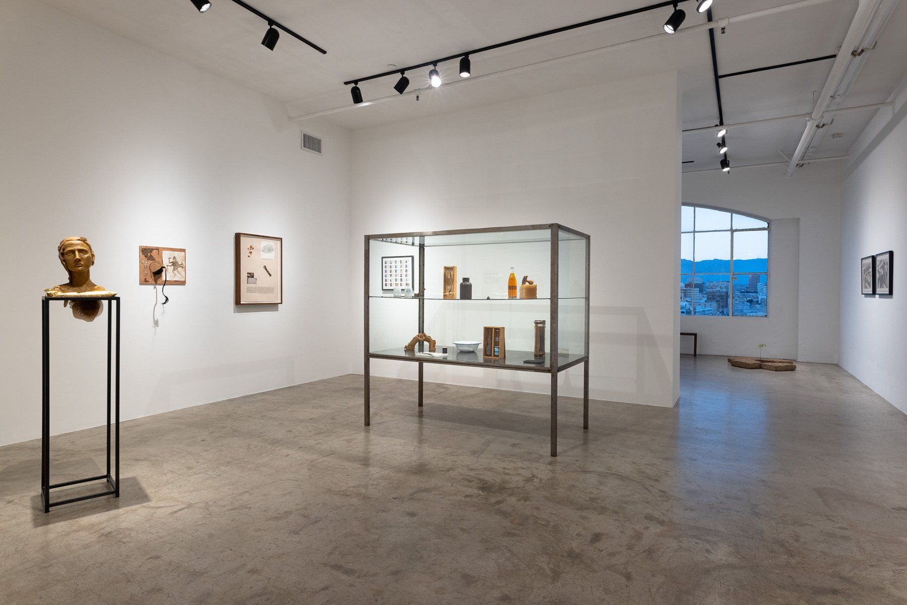 A room with a display case and a statue in it.