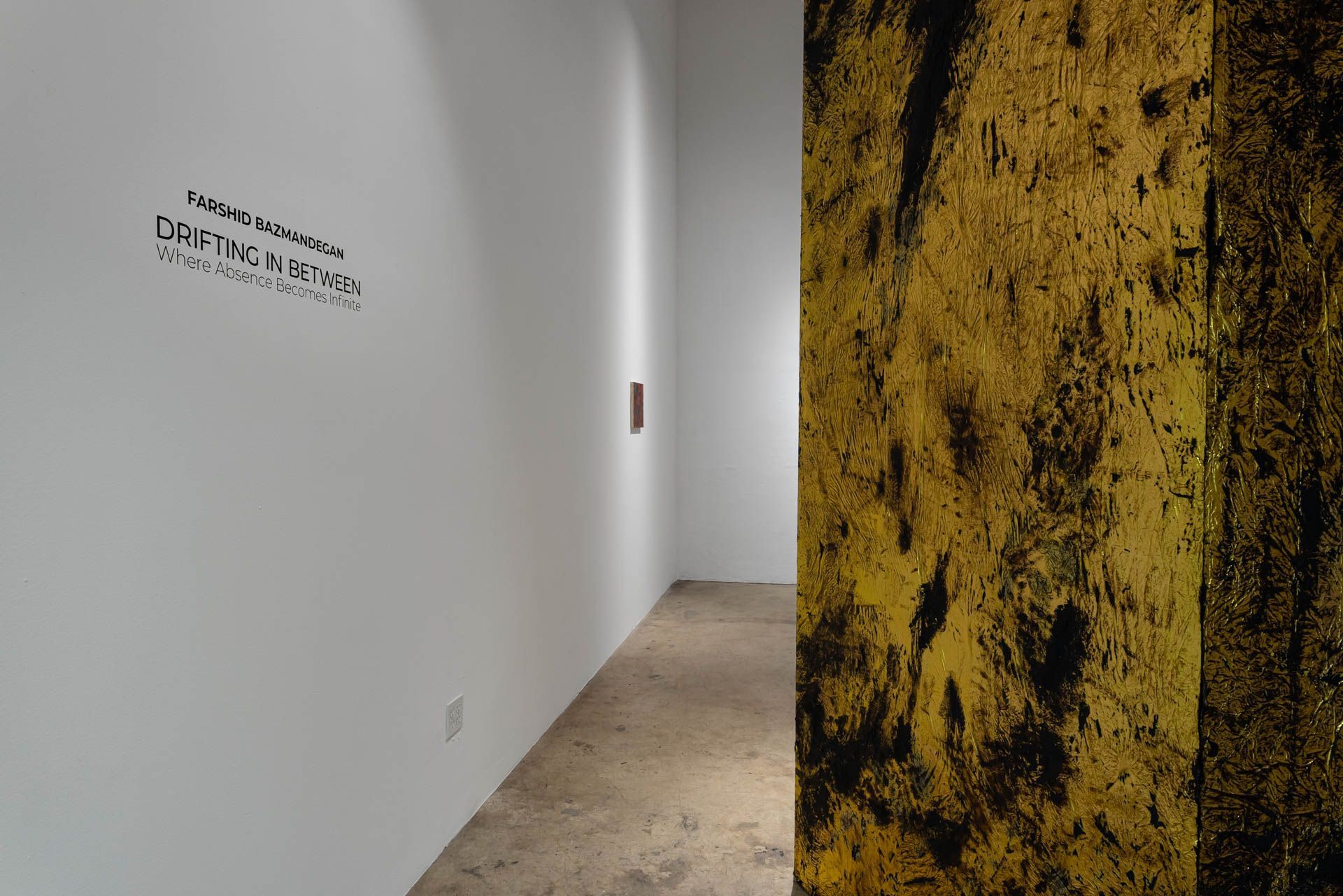 Installation view of Farshid's Bazmandegan's exhibition.