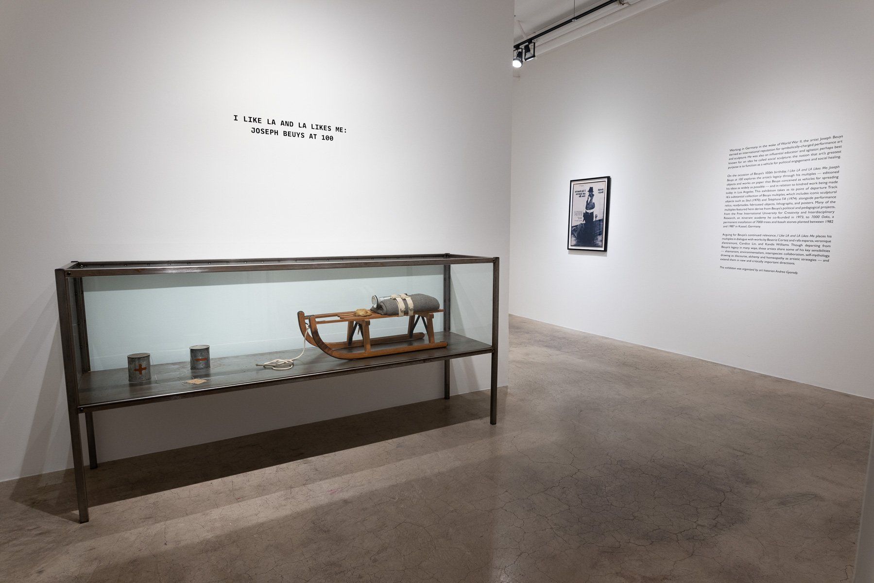 A display case with a sled in it in Track 16 Gallery.