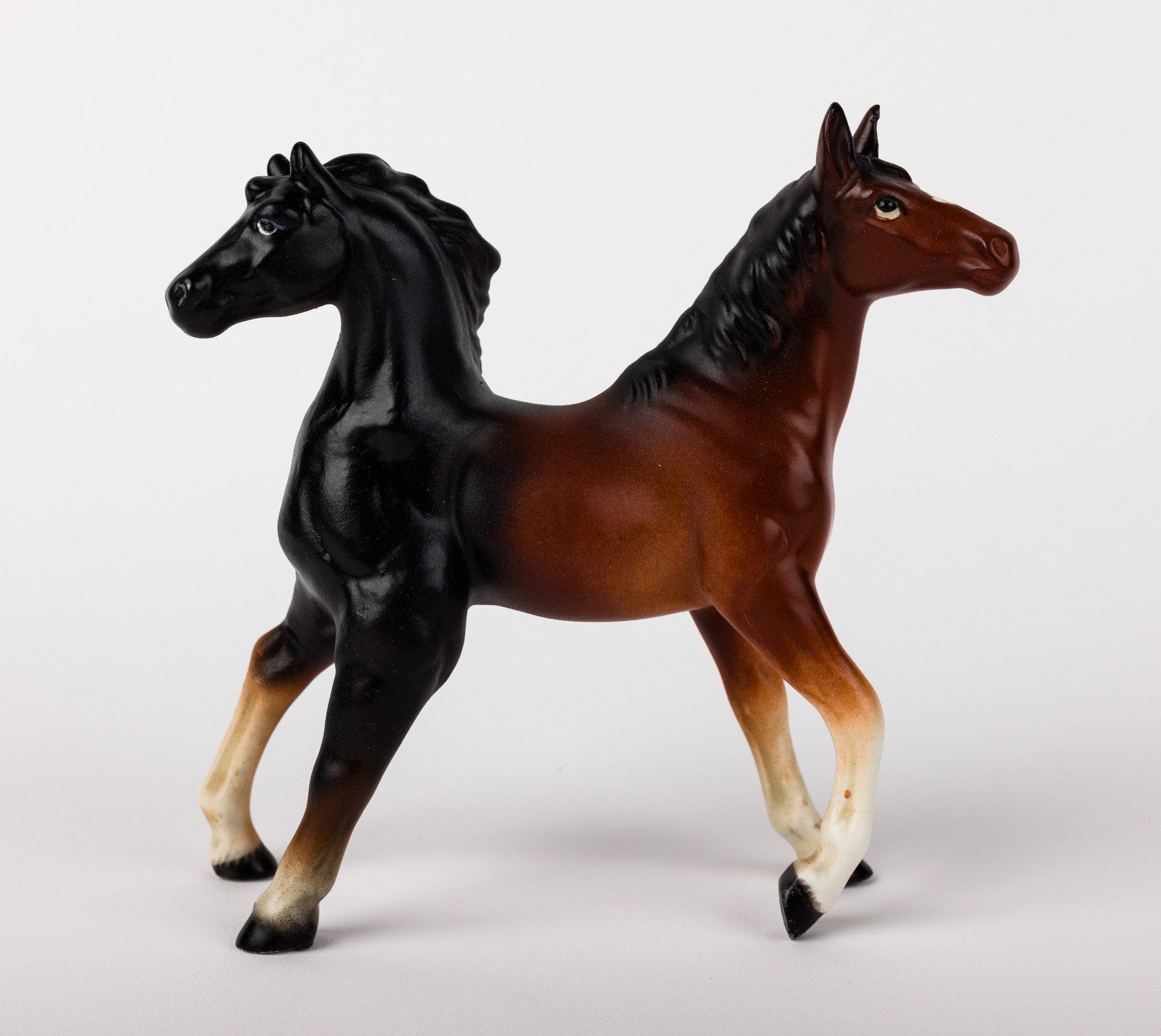 A black and brown horse standing next to each other