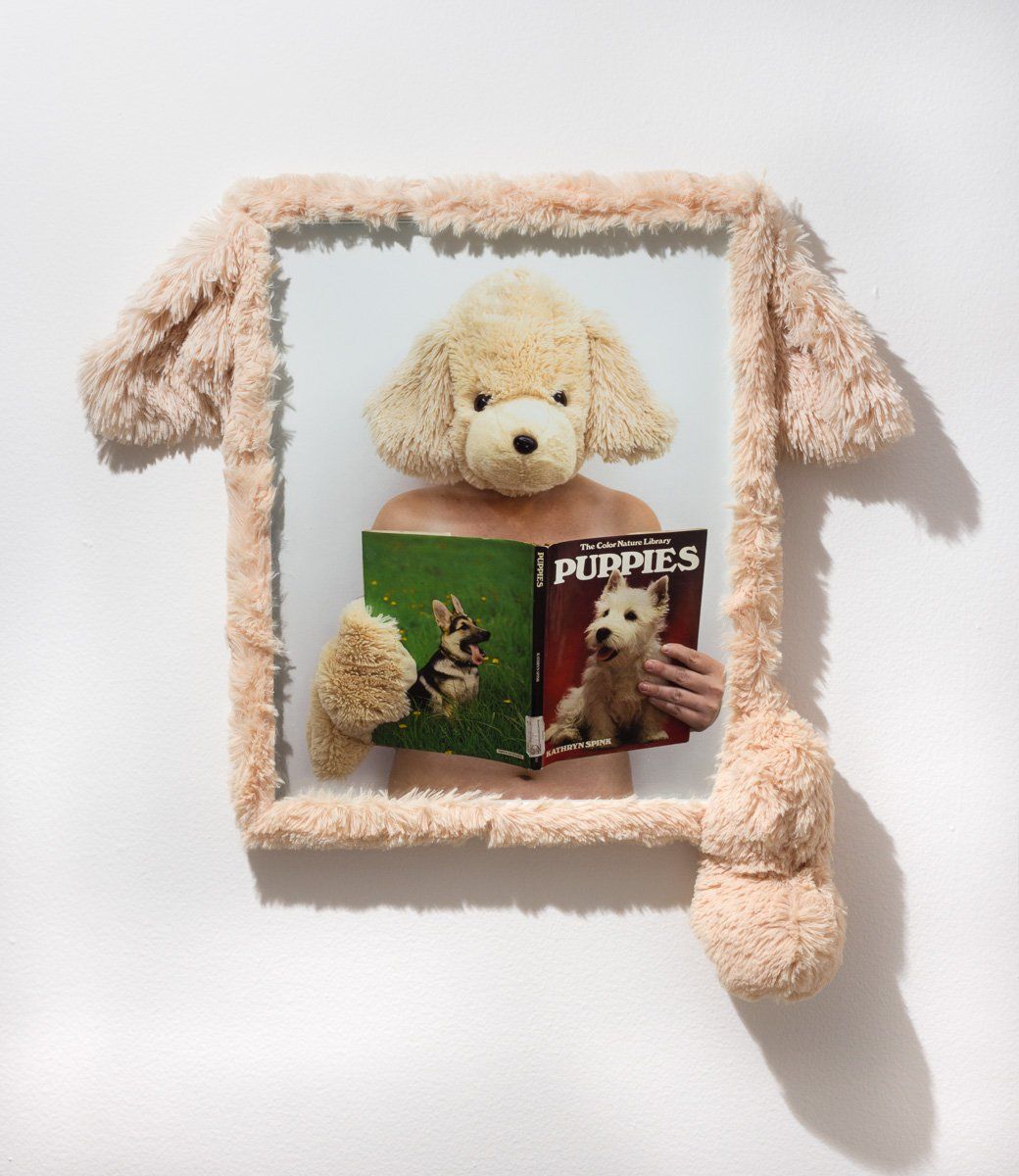 A picture of a poodle reading a book called puppies