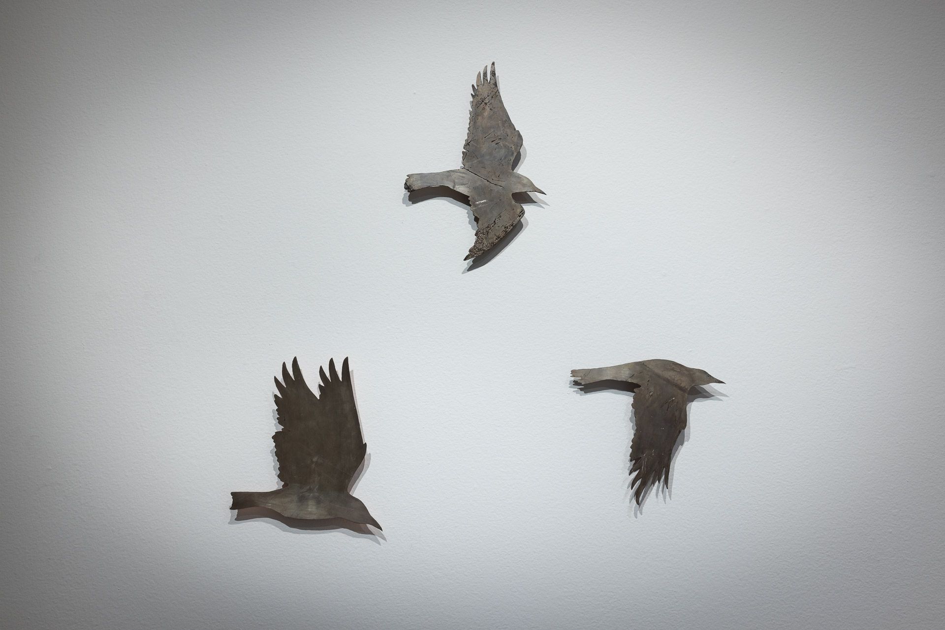 Three birds silhouetted in flight against a pale sky