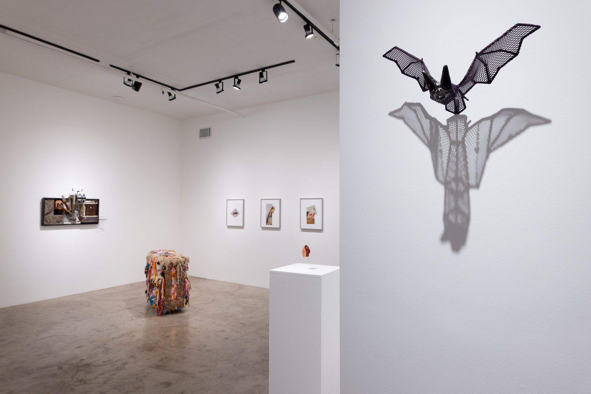 A shadow of a bat is cast on a white wall