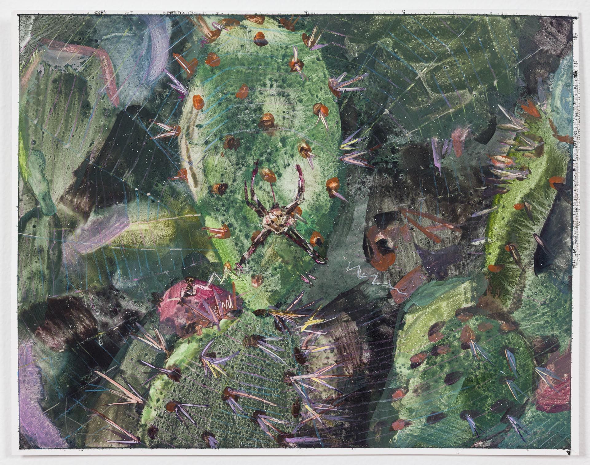 Molly Segal, How To Look At The Dying Sun