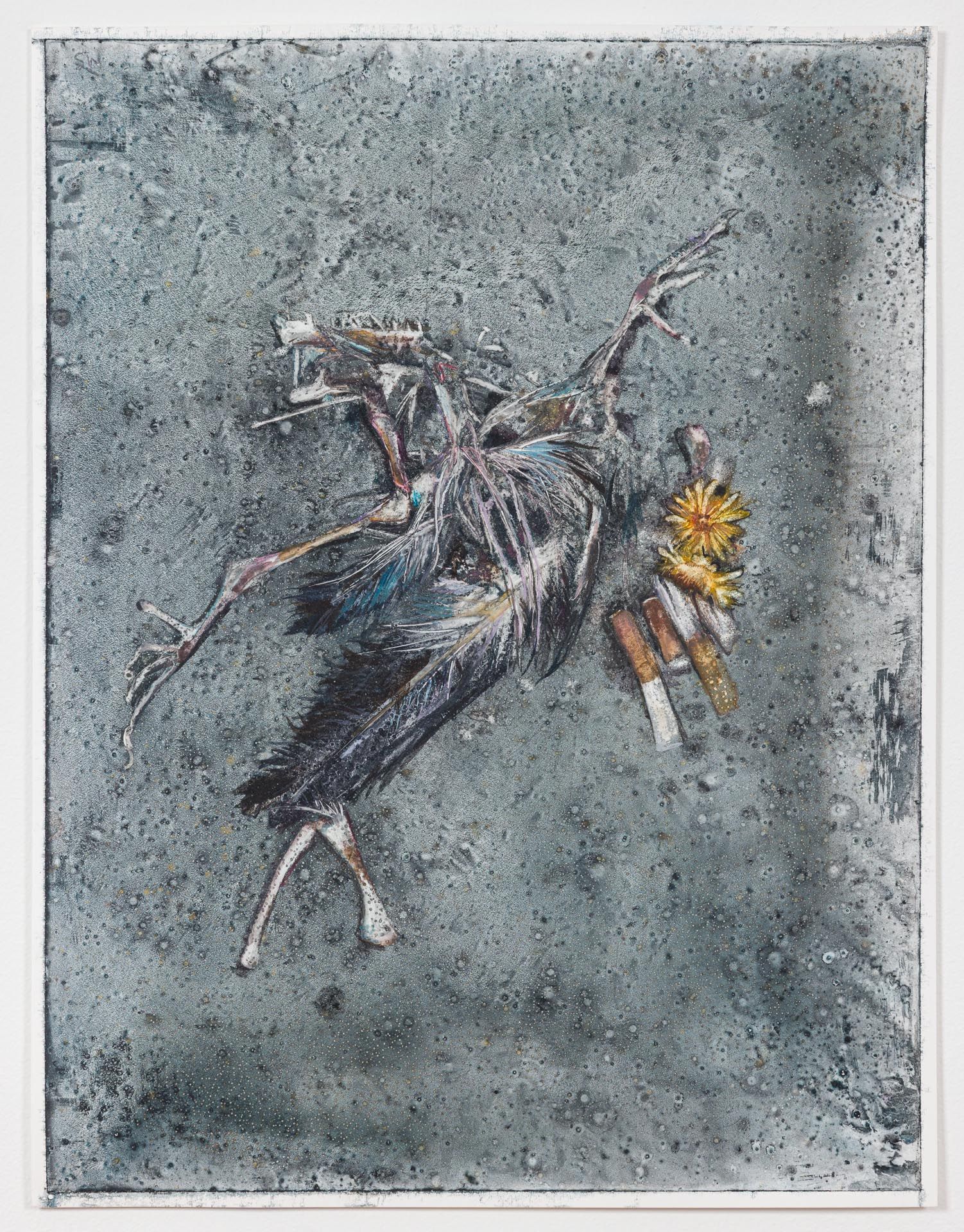 Molly Segal, This One Wild and Precious Life