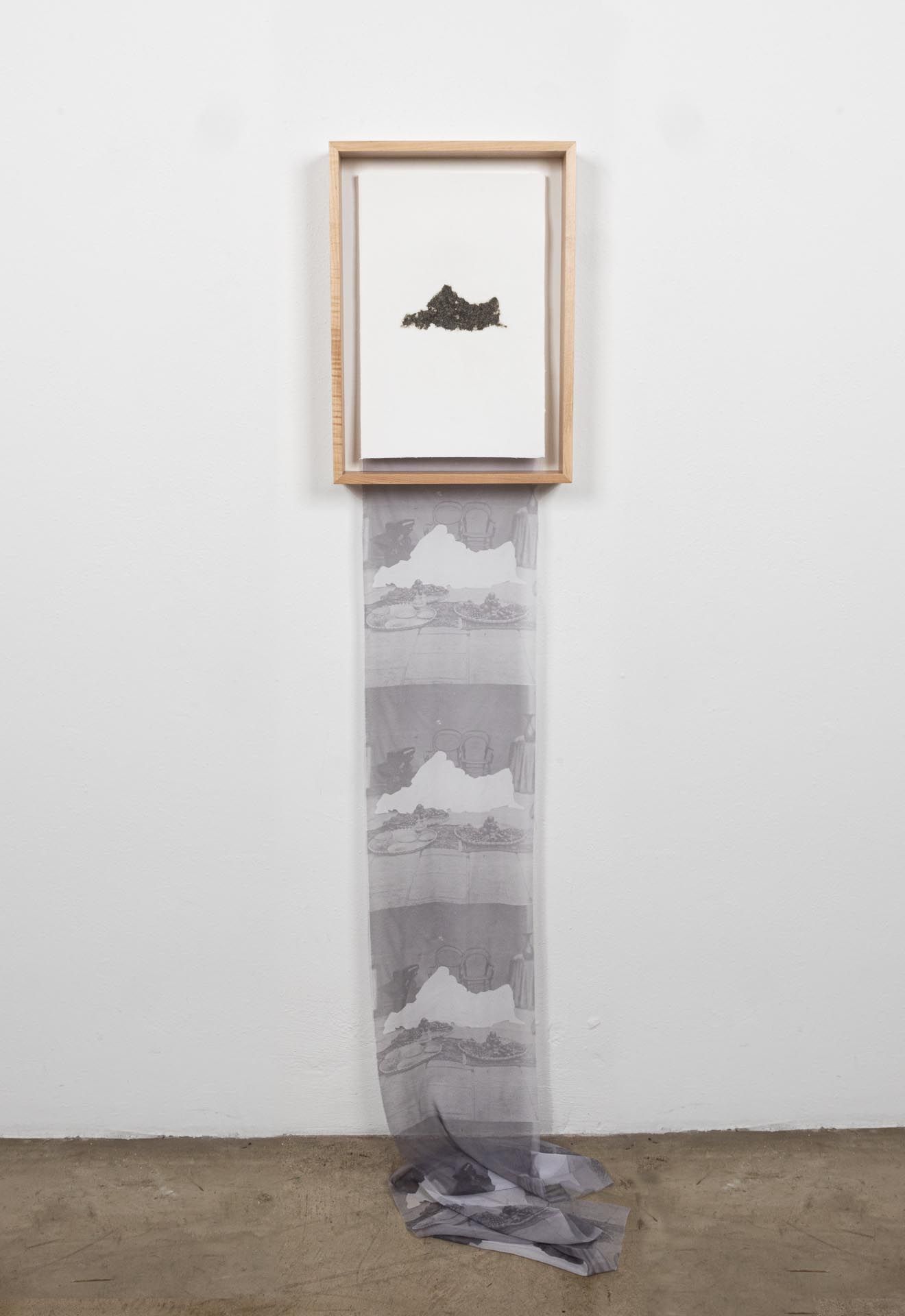 Azadeh Shladovsky, Veiled Scroll II