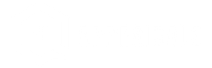 Blank white screen with a thin black horizontal line near the bottom center