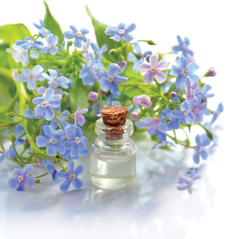 Small glass bottle with cork surrounded by light blue flowers on a white background