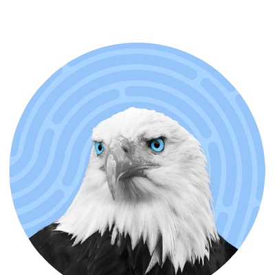 Eagle Eye Website Case Study | RivalMind