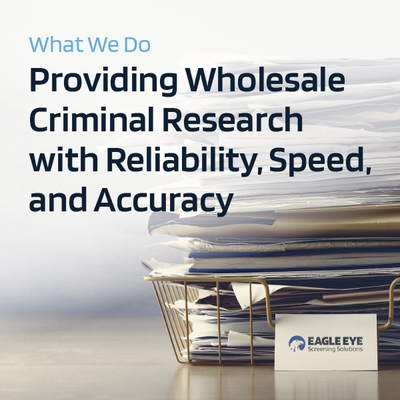 Eagle Eye Website Case Study | RivalMind
