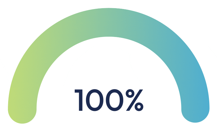 100% progress gauge with a green-to-blue semicircular arc