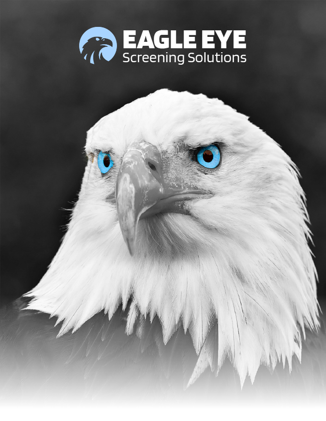 White eagle head with blue eyes on dark background, with 