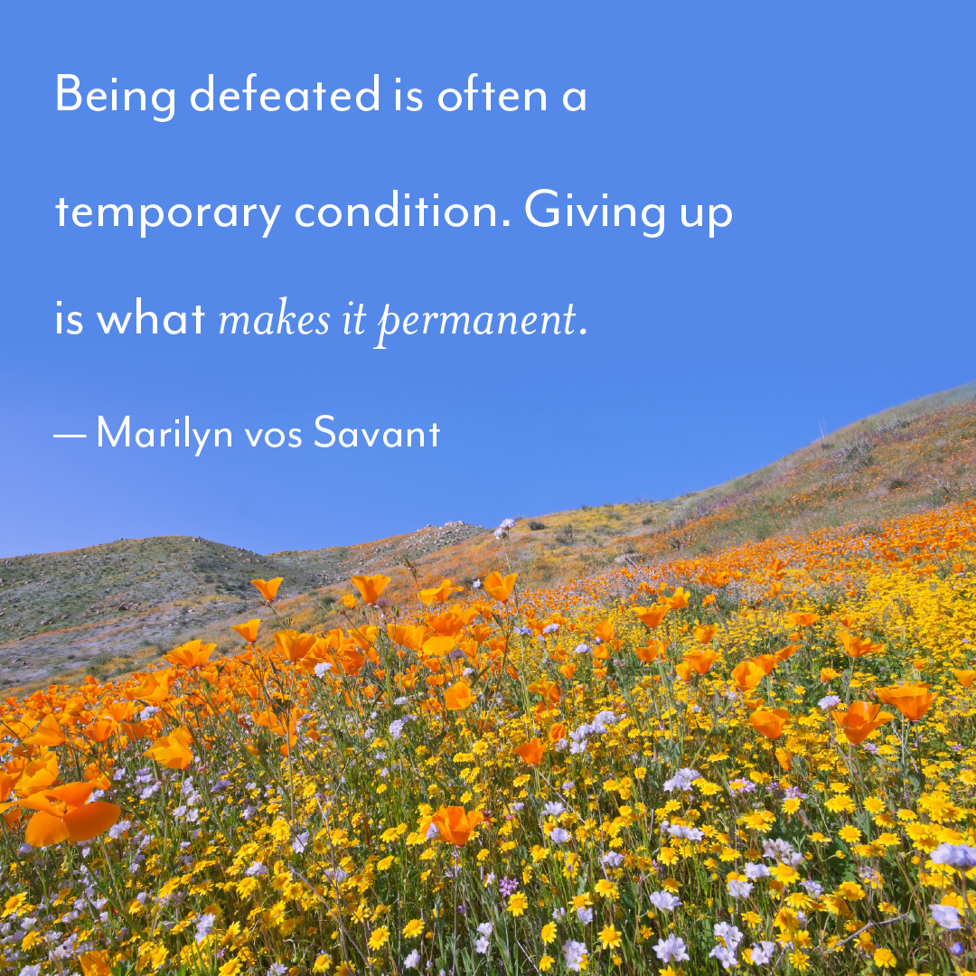 Marilyn vos Savant quote over a blue-sky view of orange wildflowers and hills