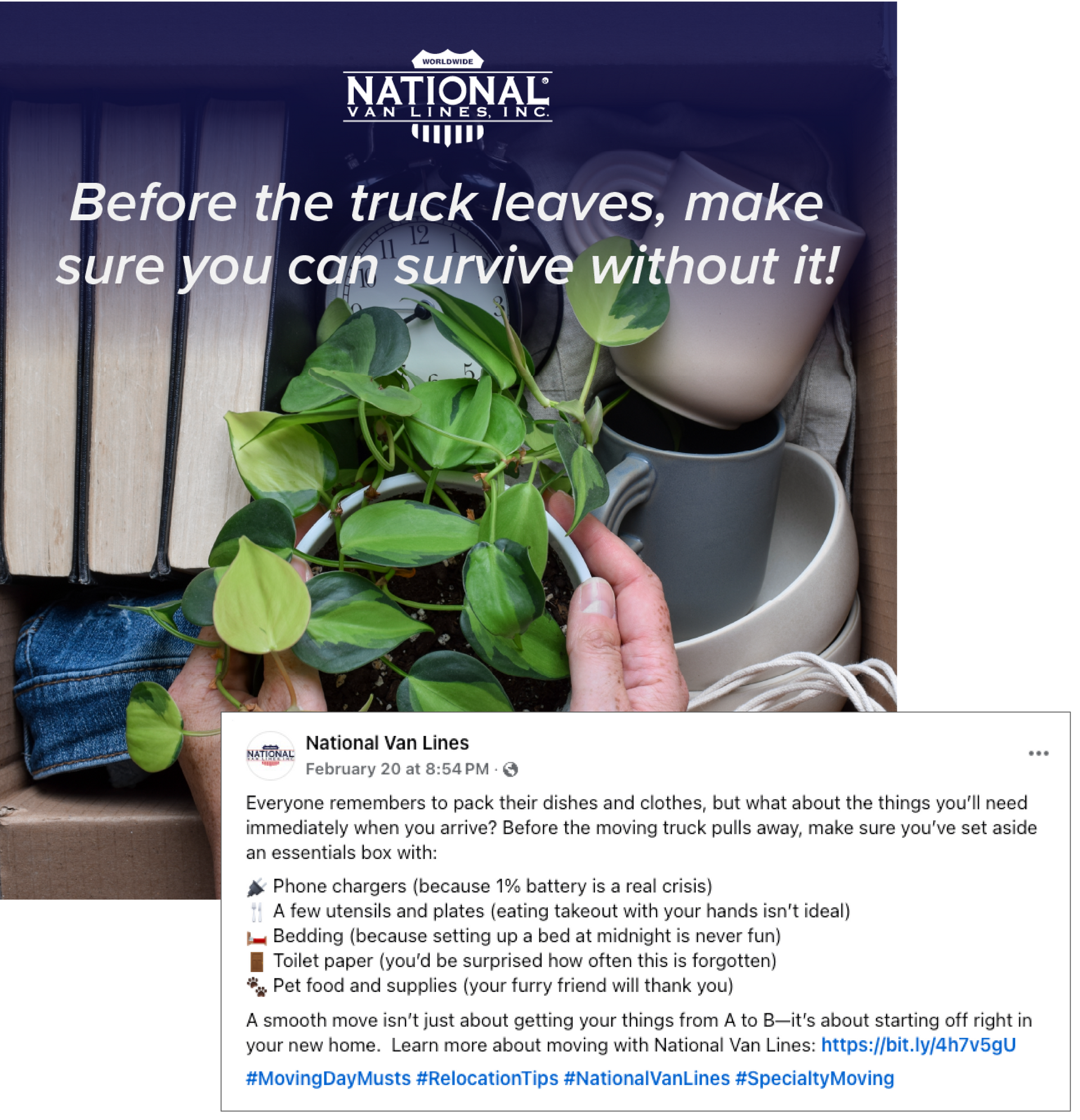 Hand holding a potted plant beside packed luggage, with “Before the truck leaves, make sure you can survive without it!” text.