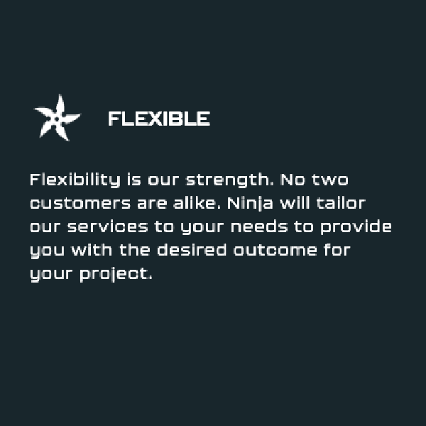 Dark teal promo graphic with white star icon, “FLEXIBLE” heading, and text about tailored services for each client