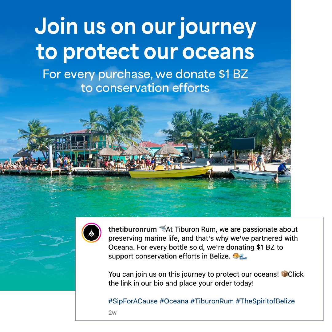 Ocean conservation poster over turquoise water with boats and palm trees, asking viewers to join the journey and donate BZ$1.