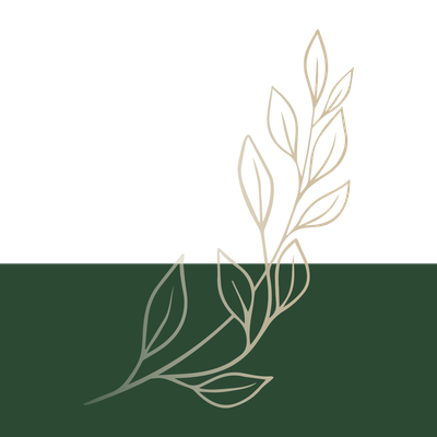 Minimal beige leaf line art over a dark green and white background