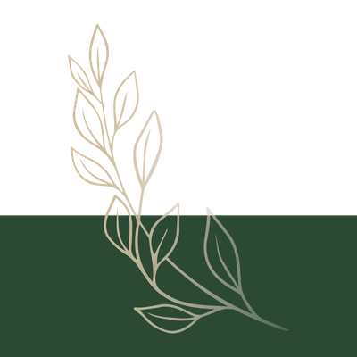 Minimal beige leaf line art on a white and dark green background