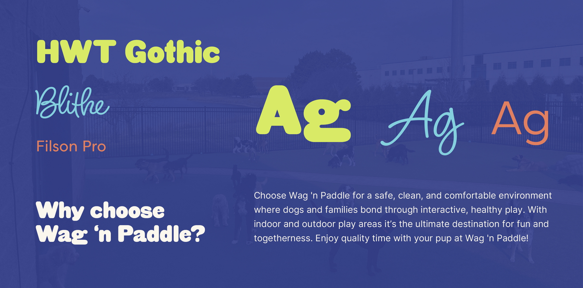 Blue typography poster showing HWT Gothic font samples, with “Why choose Wazn N Paddle?” text.