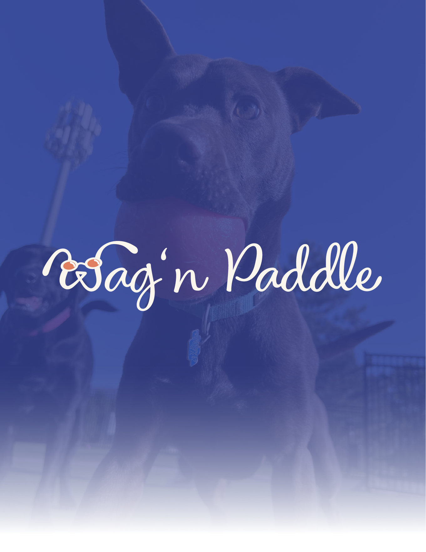 Blue-tinted dog-themed sign reading “Wag’n Paddle” with a dog in the background.