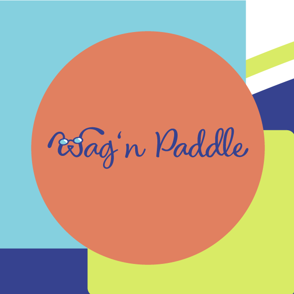 Sail 'n Paddle logo in blue script on an orange circle over a colorful abstract background
