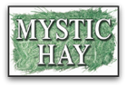 Logo for