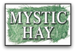 Logo for