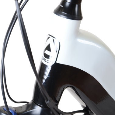 Strakke afwerking van het balhoofd op de E-Motive Avalon Premium e-bike