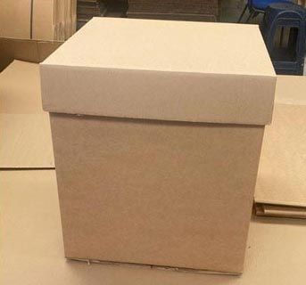 CAJAS DE CARTÓN EL PINO