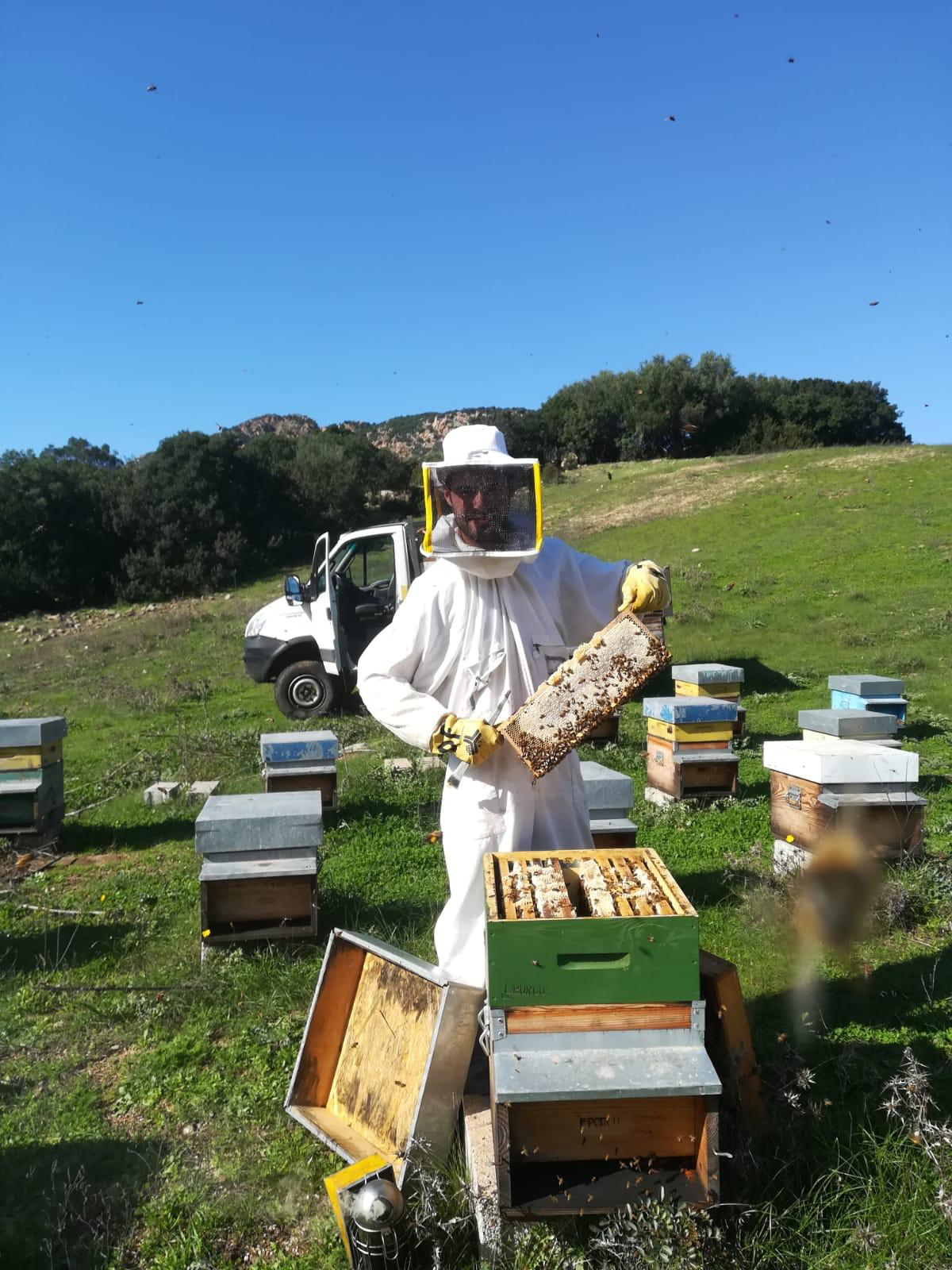 PRODUZIONE