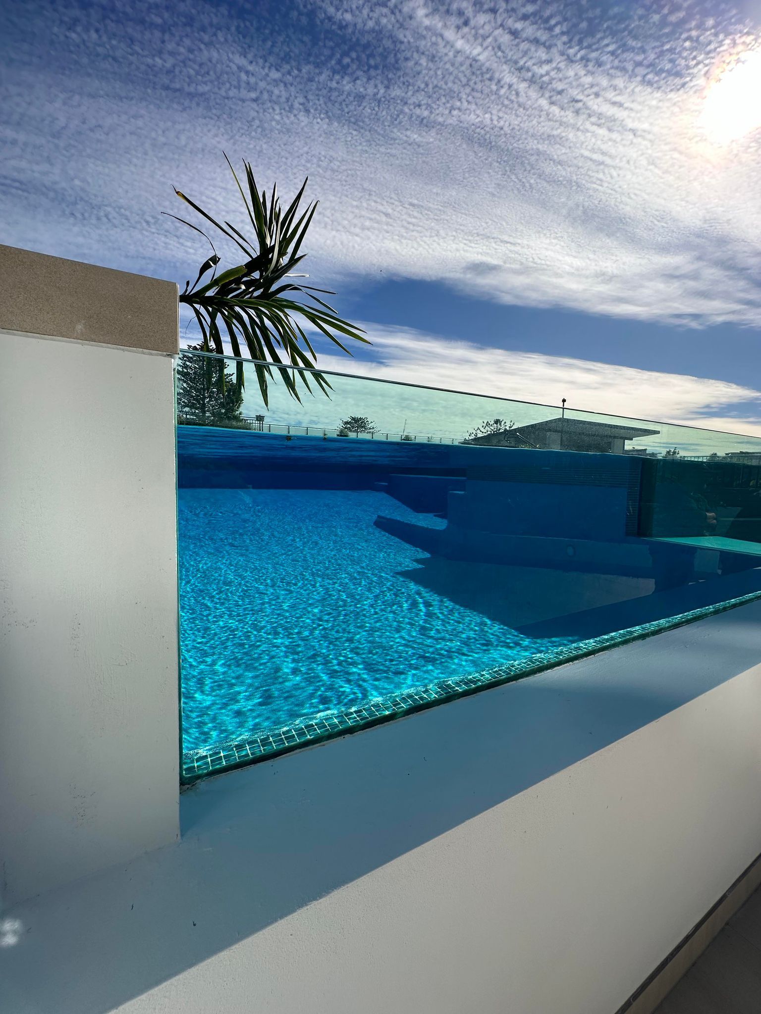 A Swimming Pool With A Palm Tree In The Background — Glass Pool Windows Australia In Old Bar, NSW