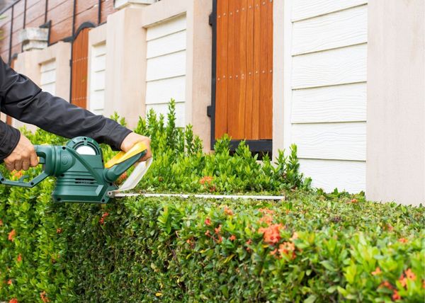 Maple Ridge Landscape Services picture of a landscaper holding a hedger trimming so bushes.