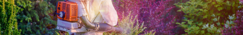 pest control treatments