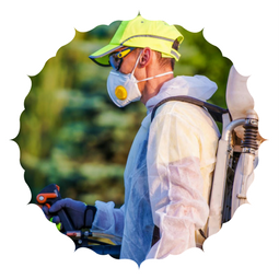 pest control
