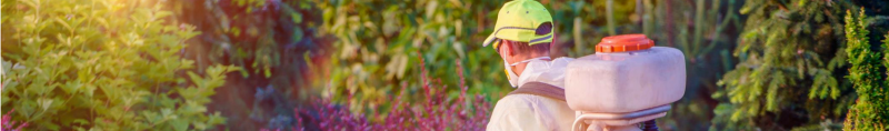 insecticide application