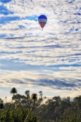 SIMG pathway Australia