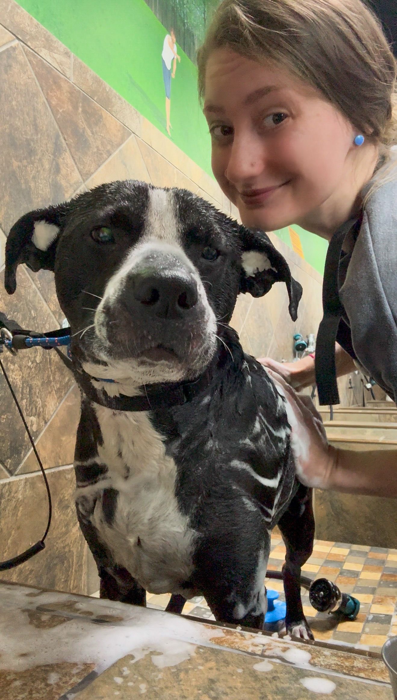 Lex and black and white dog in a shower. Dog is covered in soap; woman smiles.