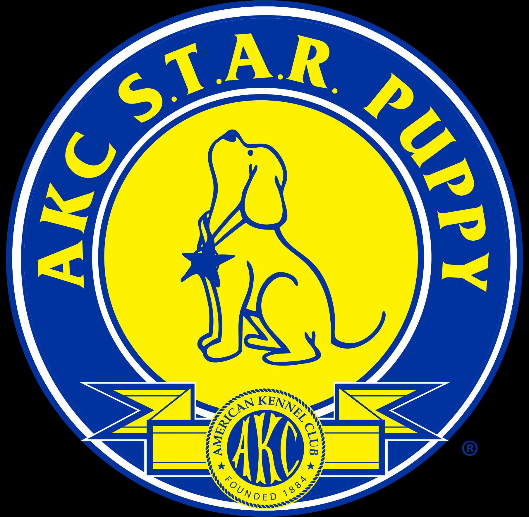 AKC S.T.A.R. Puppy logo: blue and yellow circular badge with a dog silhouette and ribbon
