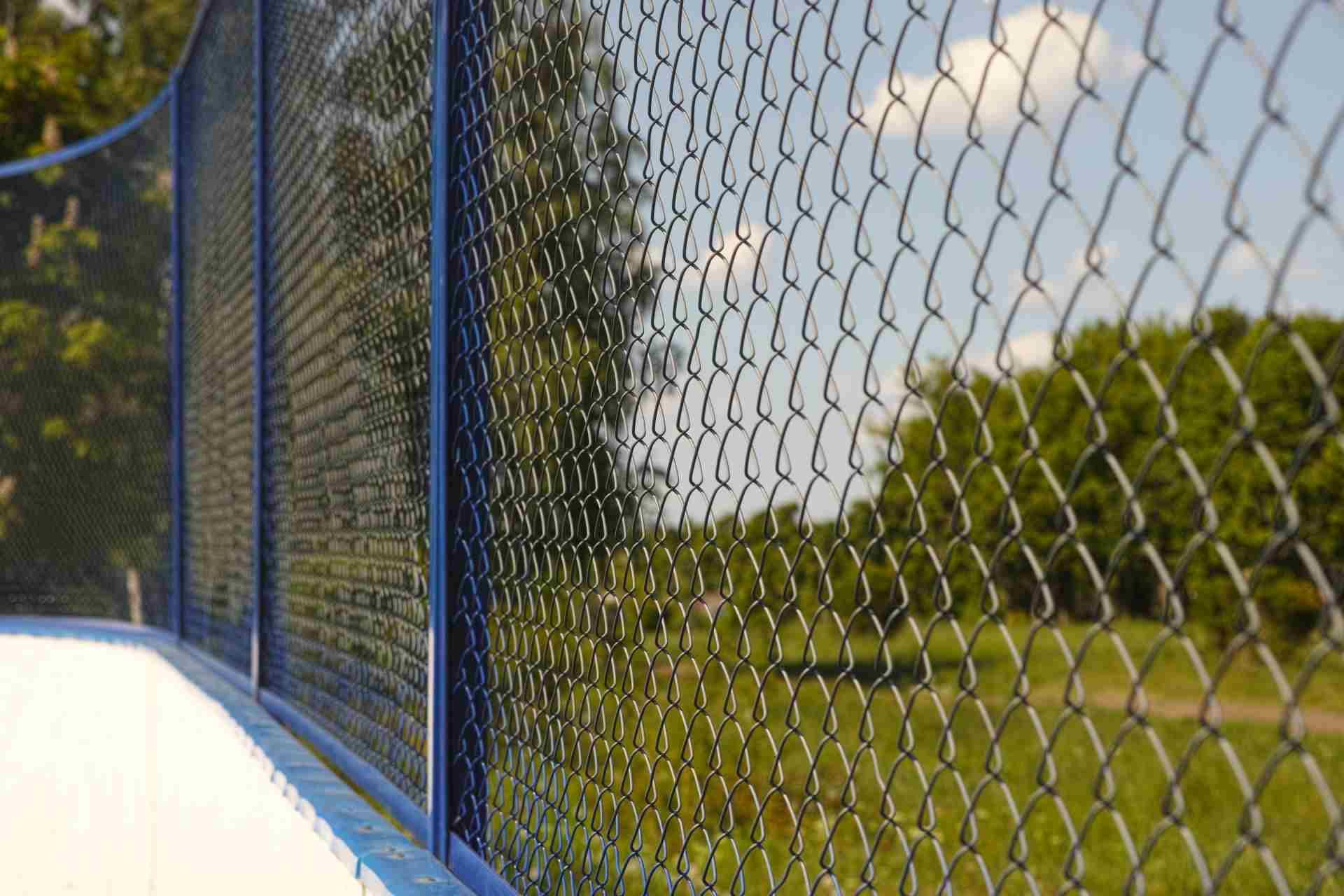 A blue metal chain-link fence curves along a path in front of trees and a bright blue sky.