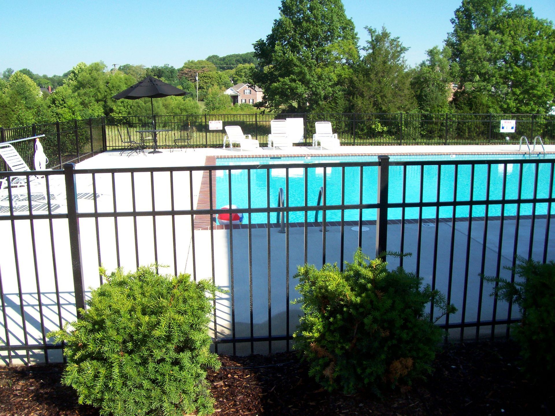 A bright blue swimming pool sits behind a black metal fence, surrounded by white pool chairs and lush green trees.