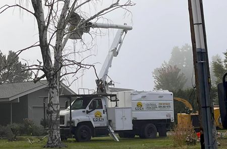 Project Gallery | Eden Landscaping & Tree Service