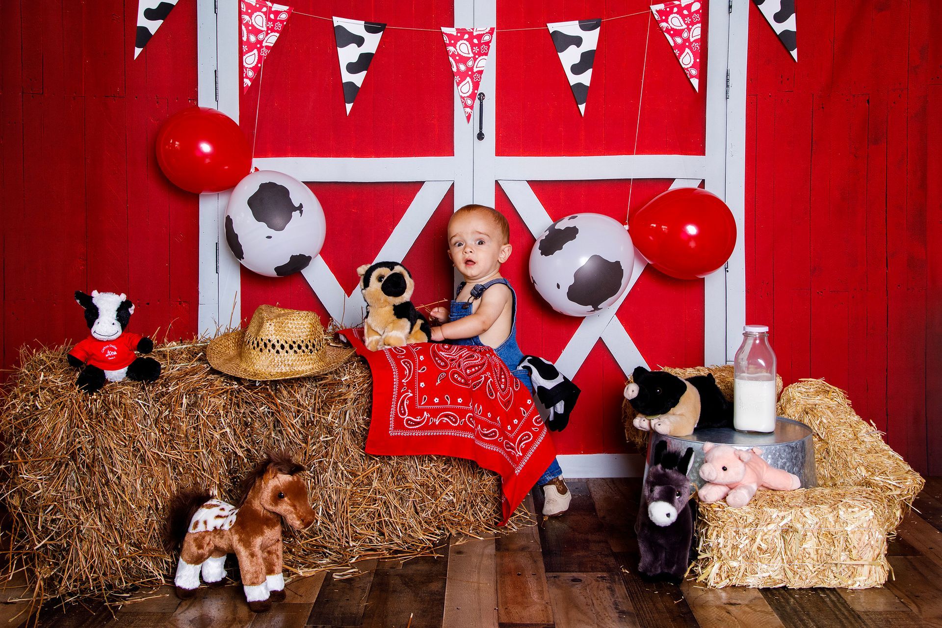 Cake smash set up - farm theme