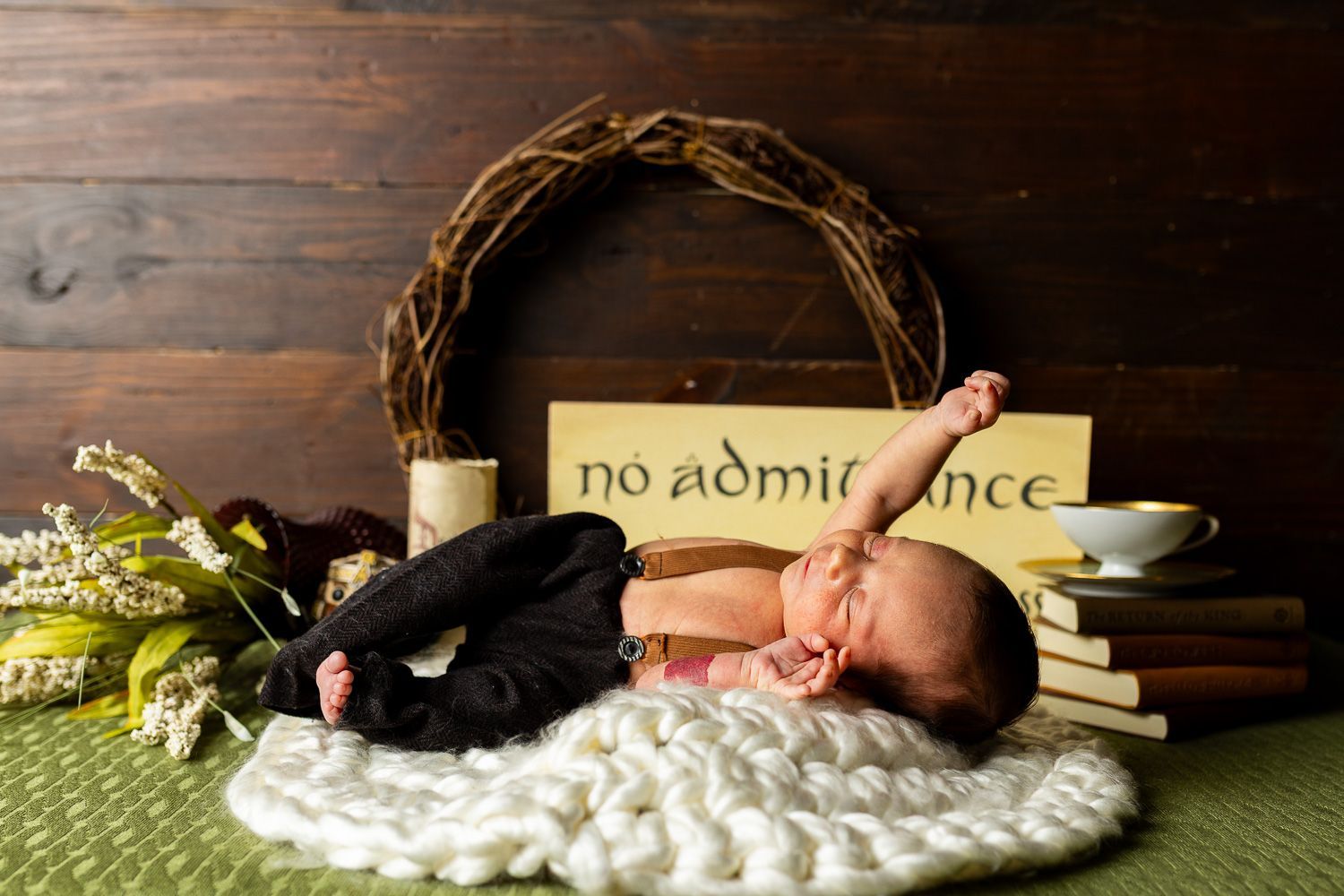 Newborn photography lord of the rings theme