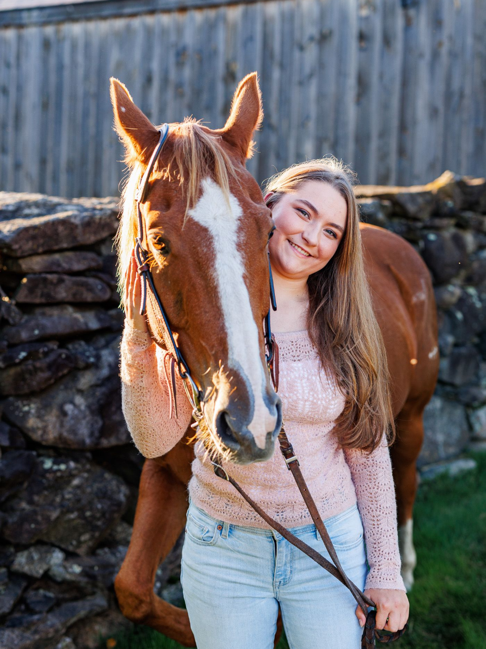 equestrian photography - man riding a brown horse in the ring competitively cattle sorting
