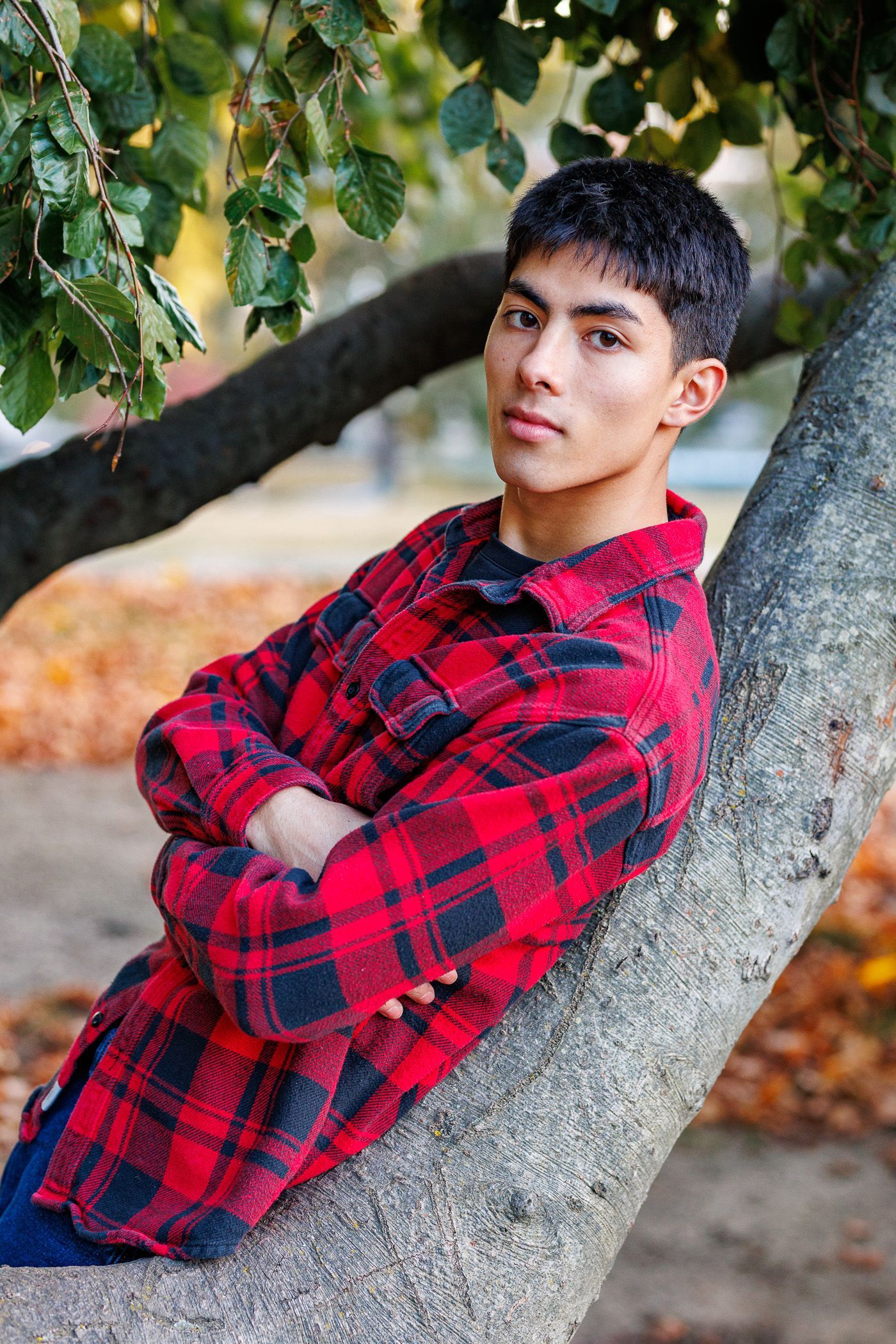 High school senior - senior photography - male student sitting in tree