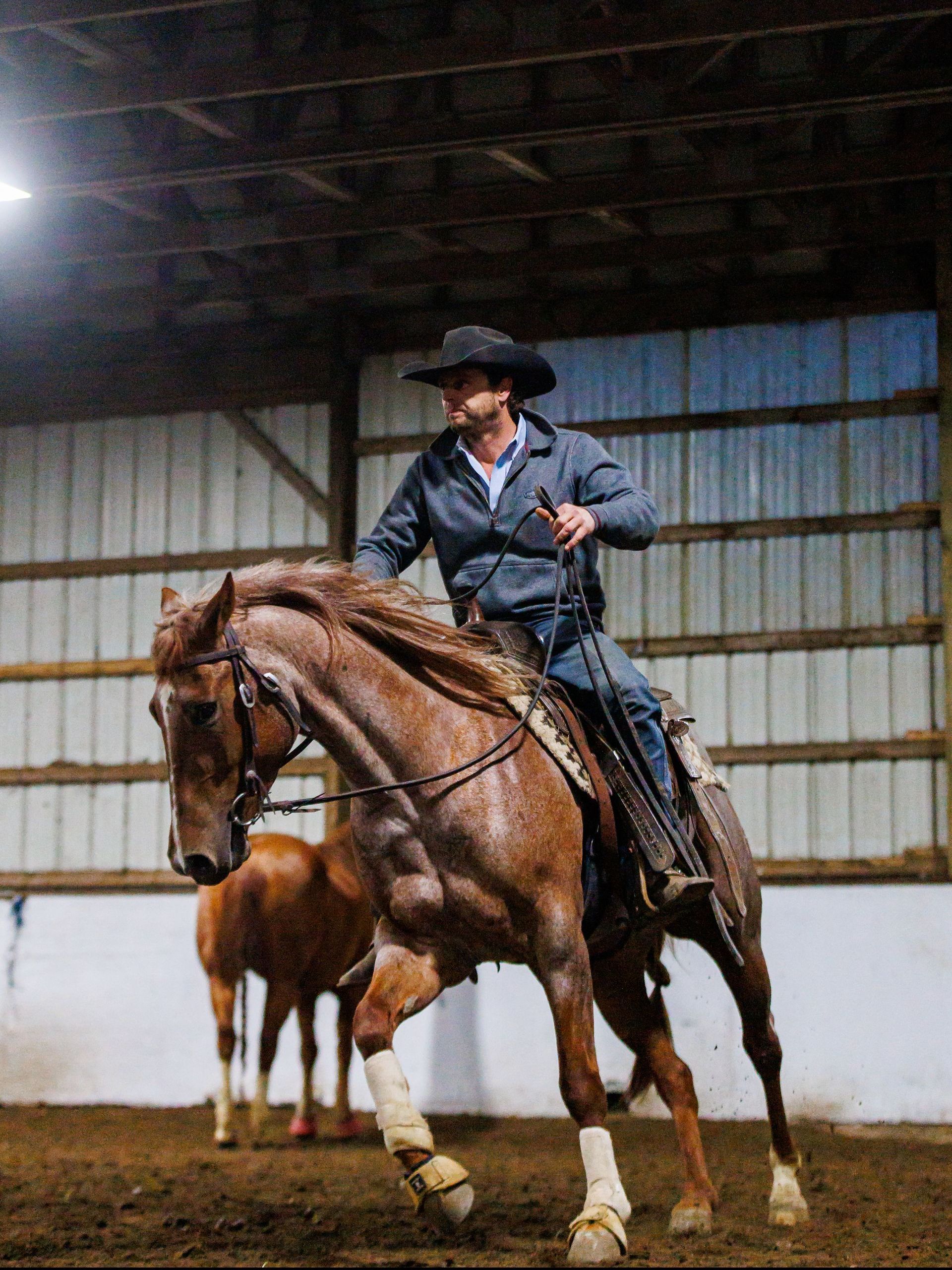 equestrian photography - man riding a brown horse during cattle sorting
