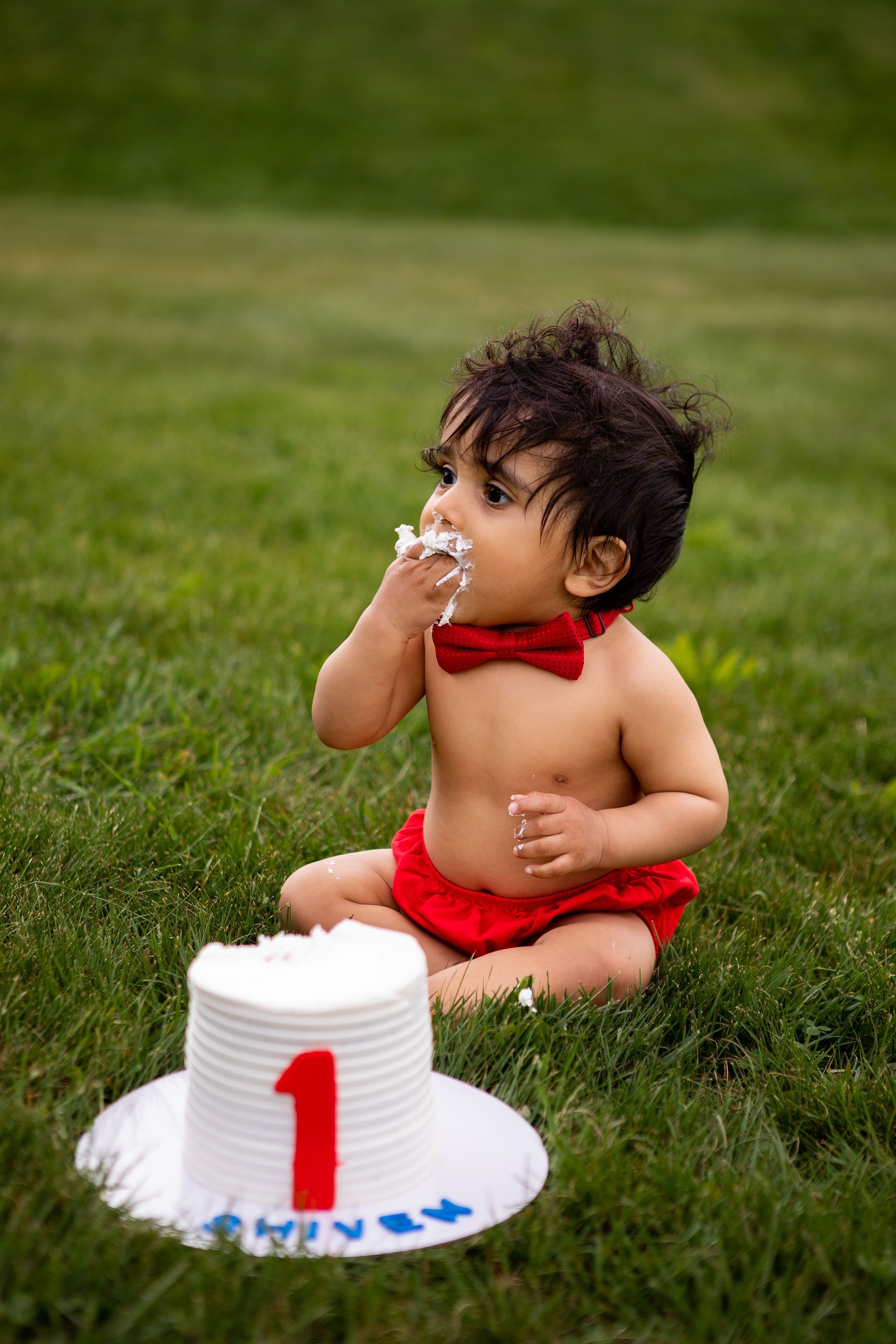 baby eating smash cake for first birthday session