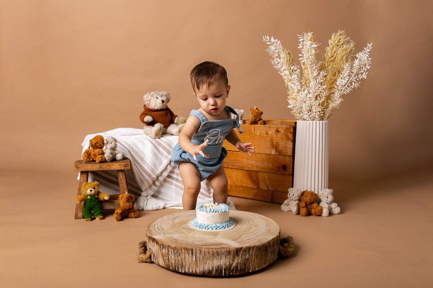 Baby posing on tan background for teddy bear themed cake smash session
